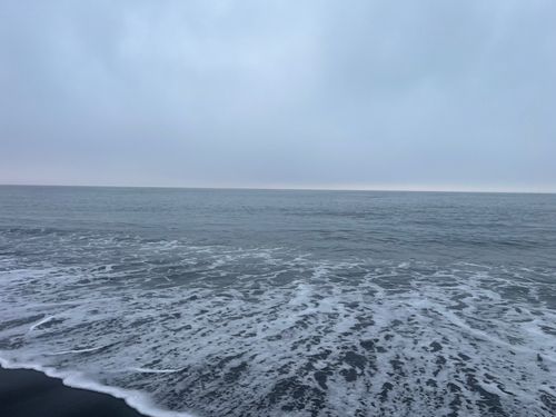 ワカシの釣果