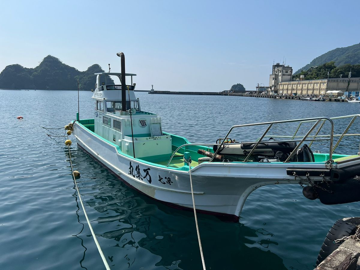 tatsu82さんの釣果 1枚目の画像