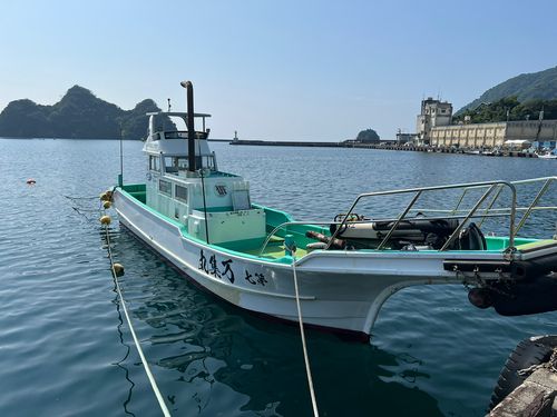 ミナミハタンポの釣果