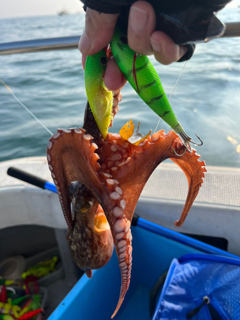 eichan.dさんの釣果 2枚目の画像