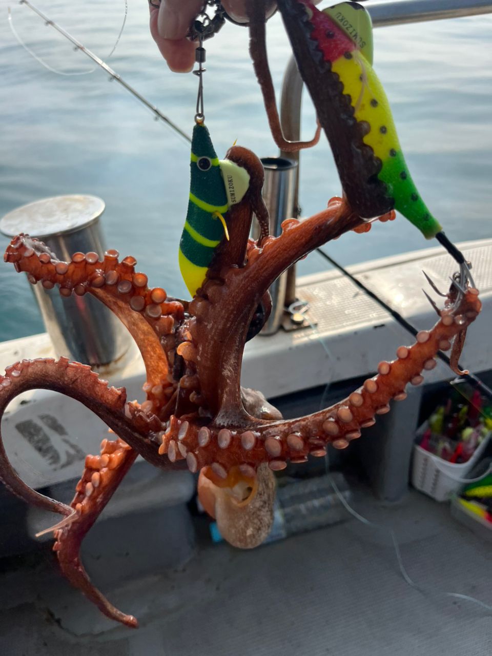 eichan.dさんの釣果 3枚目の画像