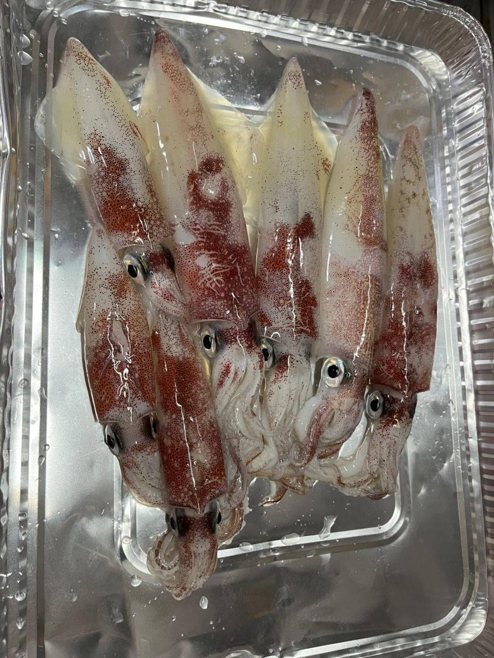 eichan.dさんの釣果 2枚目の画像