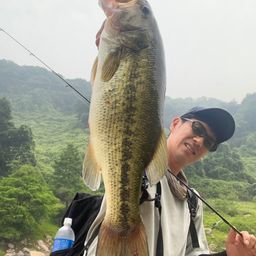 ブラックバス