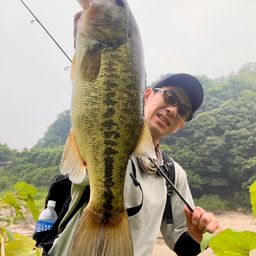 ブラックバス
