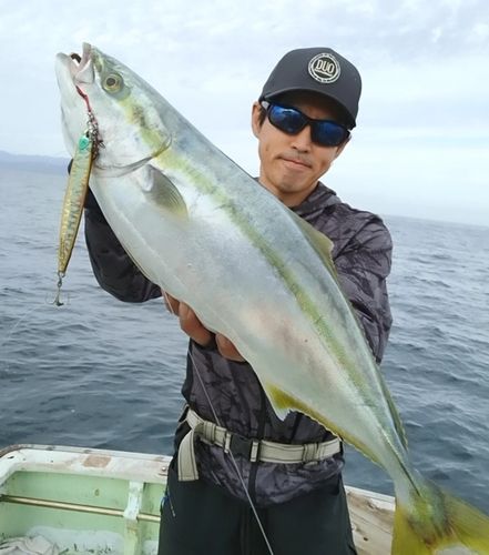 メジロの釣果