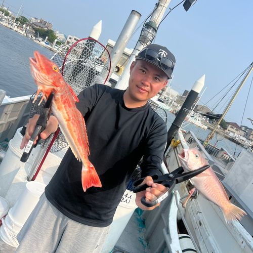 シロアマダイの釣果