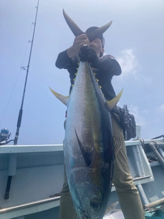 キハダマグロの釣果