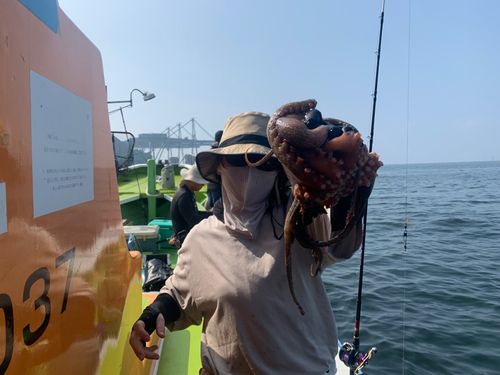 タコの釣果