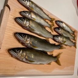 アユ
