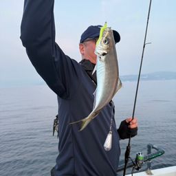 アジ