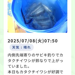 カタクチイワシ