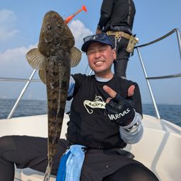 マゴチ