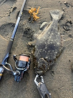ソゲの釣果