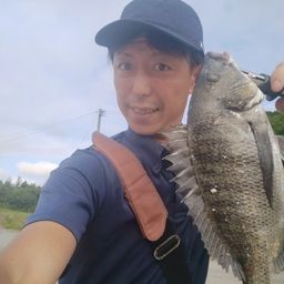 クロダイ