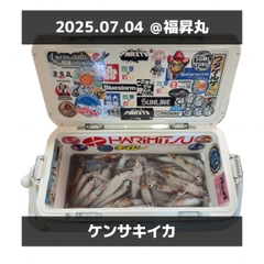 ケンサキイカの釣果