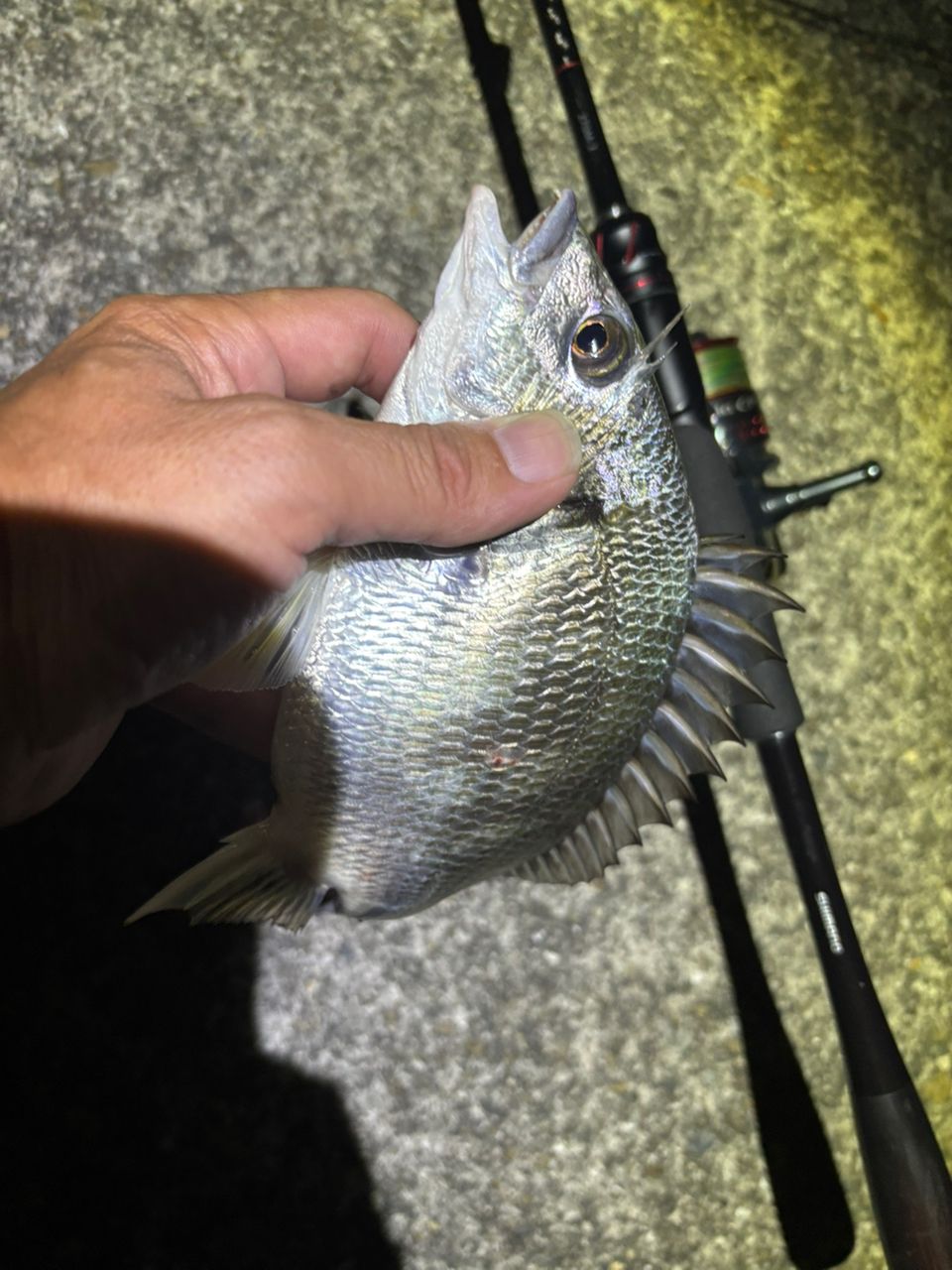 SHIMANO 20ゾディアス 270M-2の最安値・インプレ・釣果 | 本音の