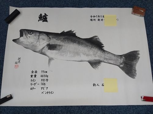 シーバスの釣果