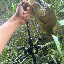 スモールマウスバス