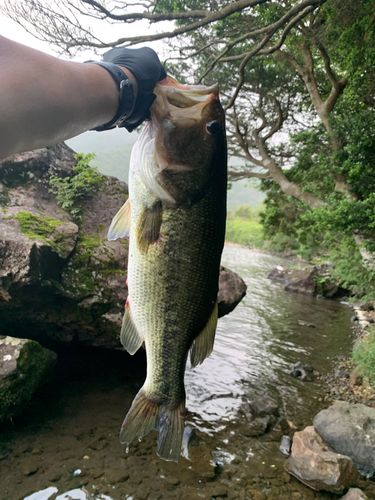 キャンプ場沖