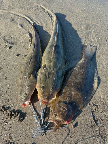 釣果