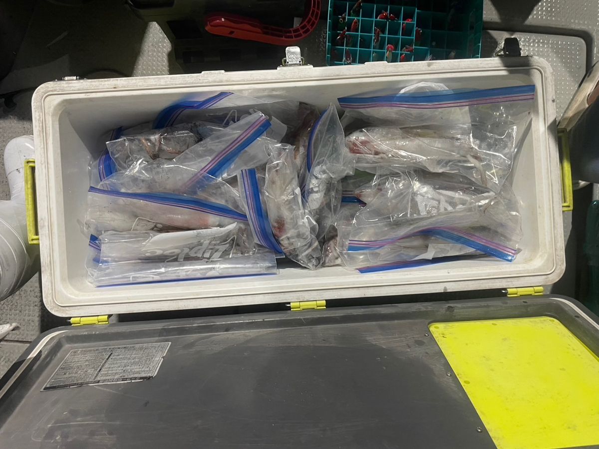 田畑良朗@なつき丸さんの釣果 2枚目の画像