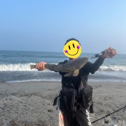 マゴチ