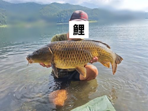 西湖放水路