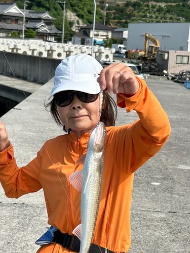 エソの釣果