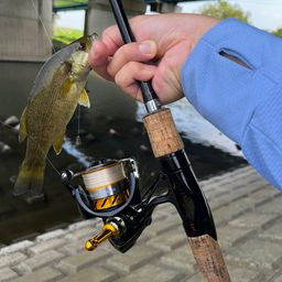 スモールマウスバス