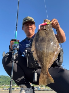 ヒラメの釣果