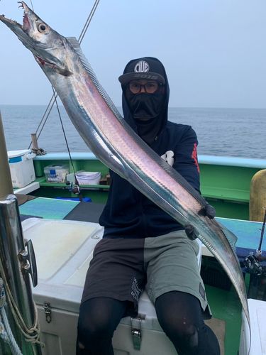 タチウオの釣果