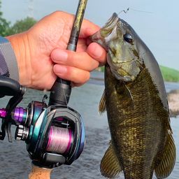 スモールマウスバス