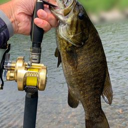 スモールマウスバス