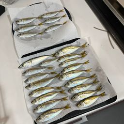 アジ