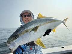 ヒラマサの釣果