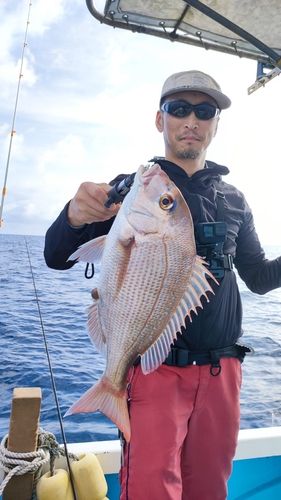 タイの釣果