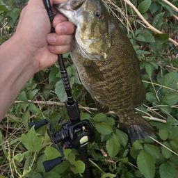 スモールマウスバス