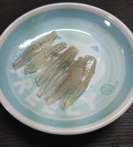 ハゼの釣果