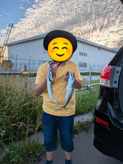 サバの釣果