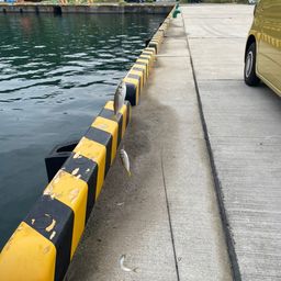 アジ