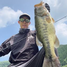 ブラックバス
