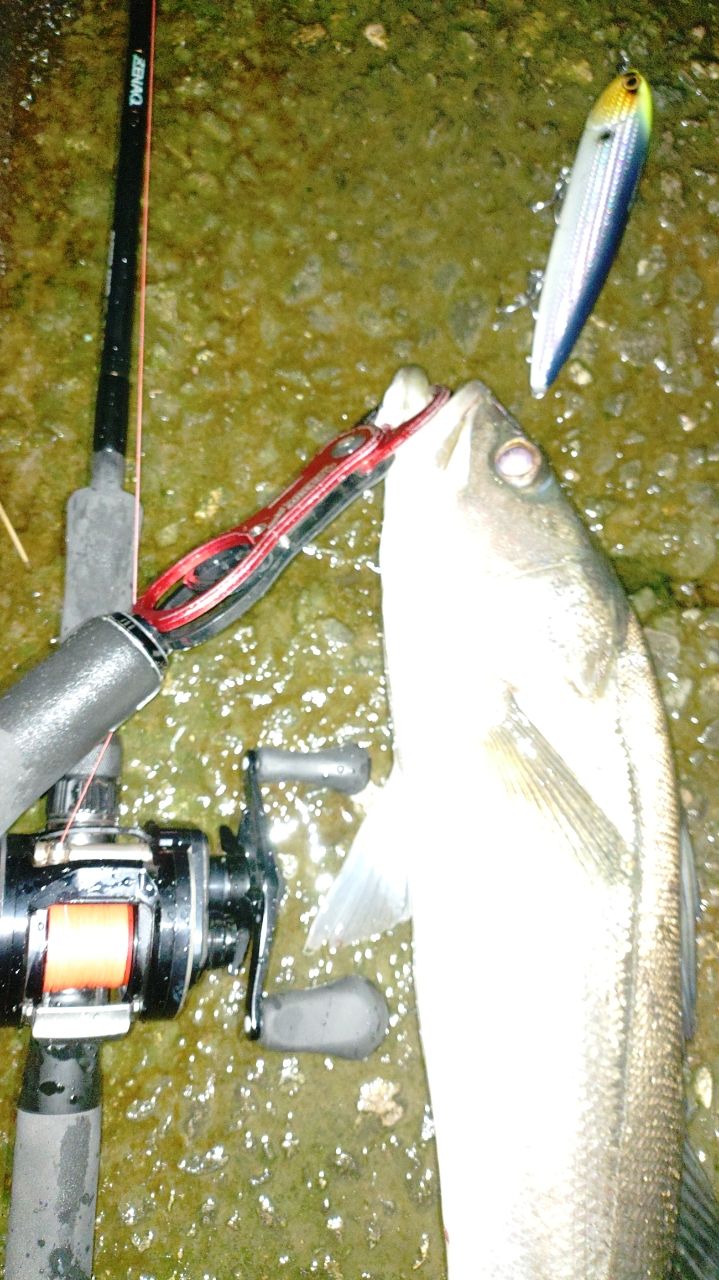 ZENAQ プレジール アンサー ソップモッドの最安値・インプレ