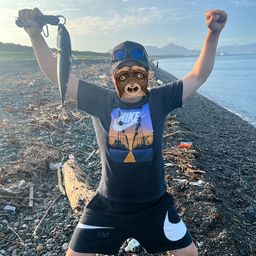 ヒラソウダ