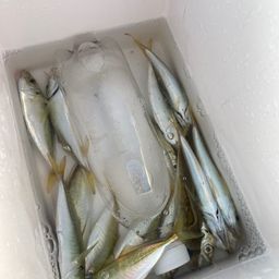 アジ