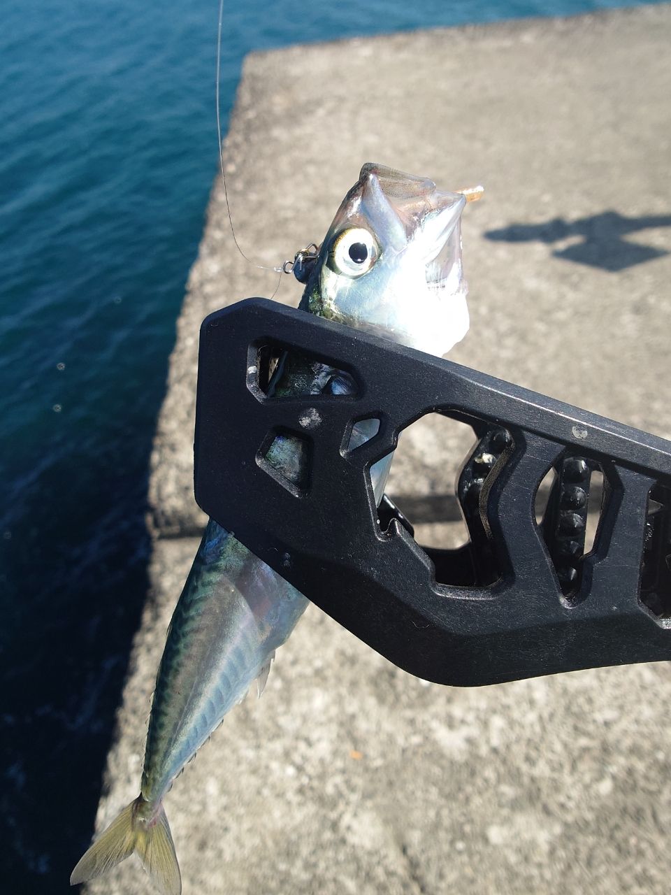 SHIMANO  19 ソアレ BB アジング S610L-S 19ソアレBBアジング S610L－S | イシグロ公式