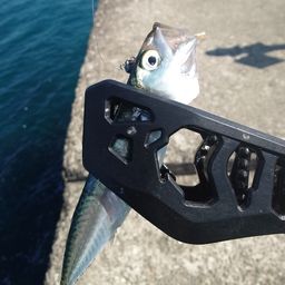 マサバ