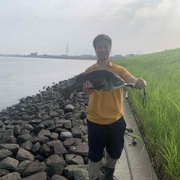 クロダイ