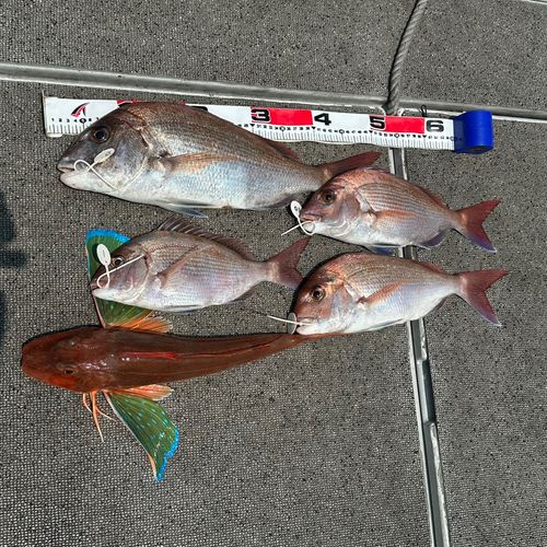 釣果
