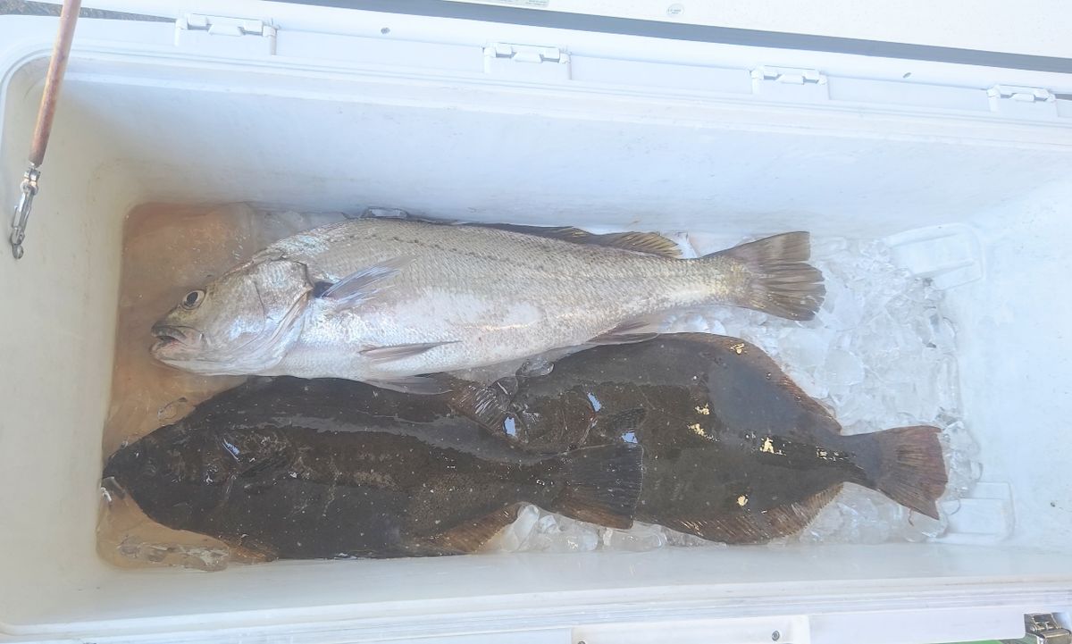 アツ内藤さんの釣果 2枚目の画像