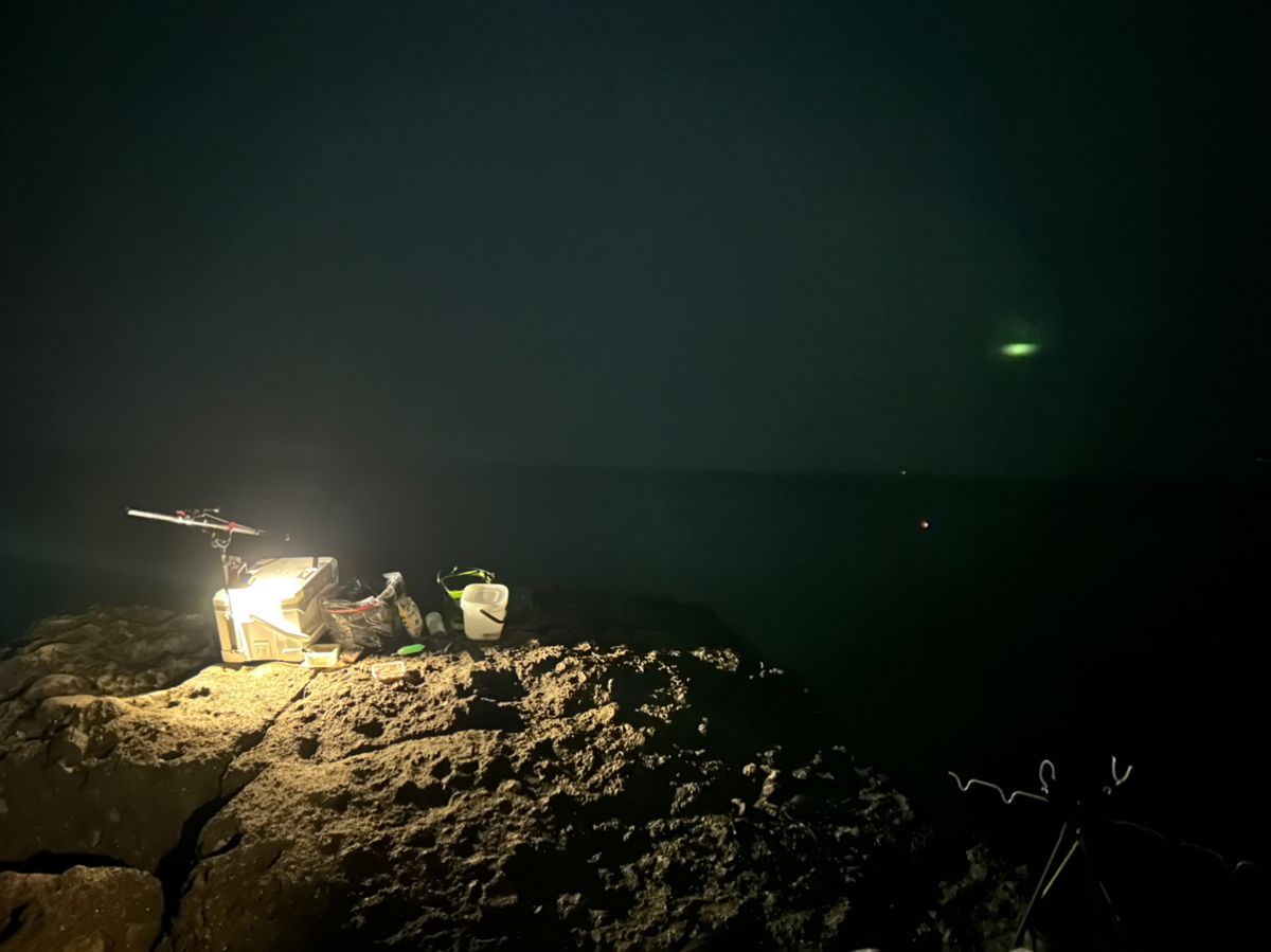 angler NTOさんの釣果 1枚目の画像